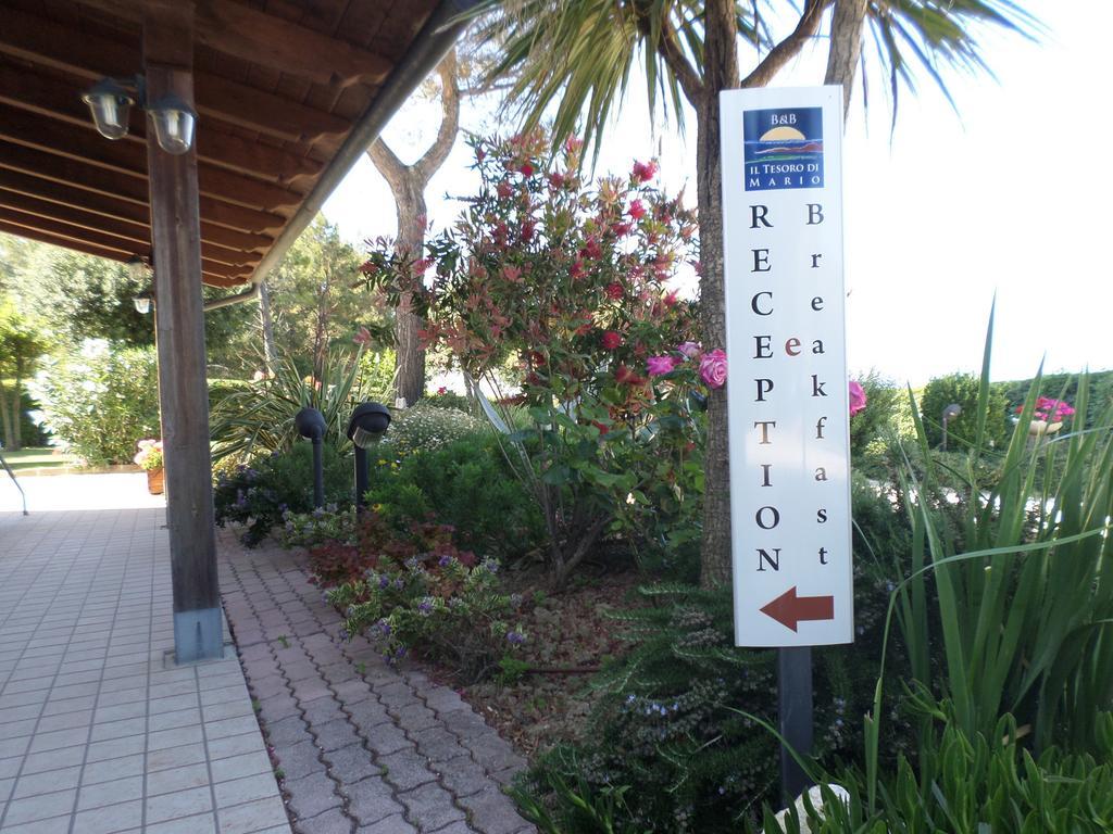Bed And Breakfast " Il Tesoro Di Mario " Falconara Marittima Luaran gambar