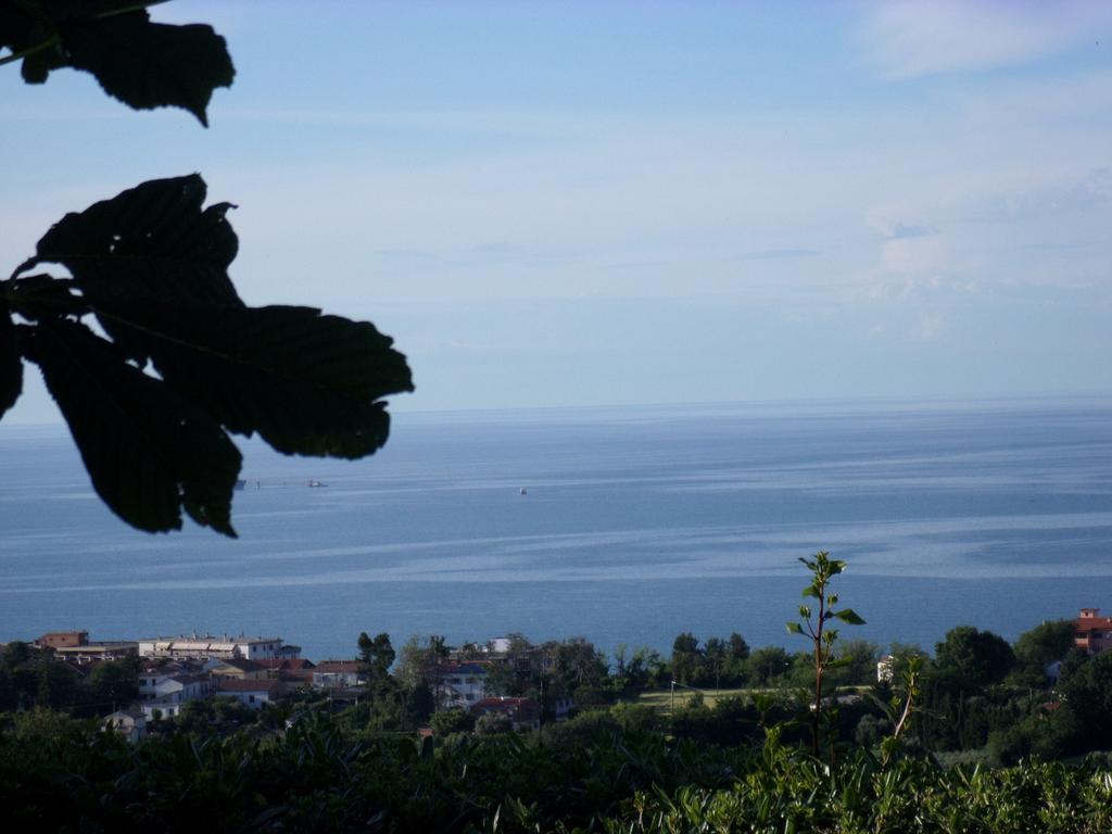 Bed And Breakfast " Il Tesoro Di Mario " Falconara Marittima Luaran gambar