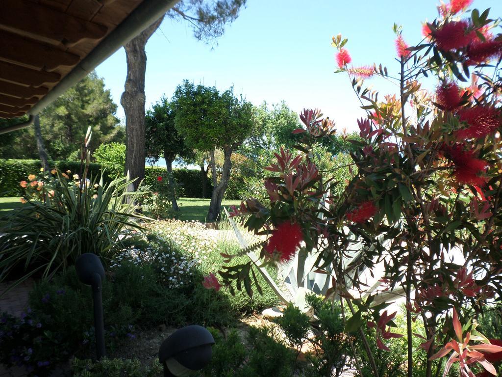 Bed And Breakfast " Il Tesoro Di Mario " Falconara Marittima Luaran gambar