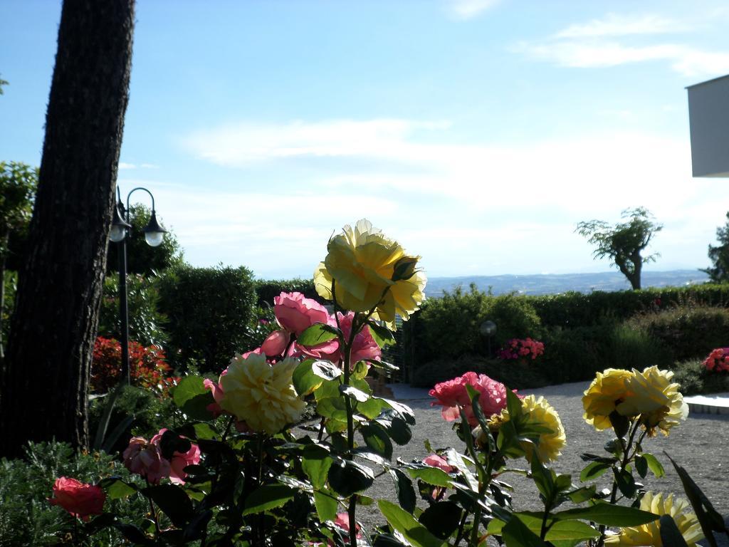 Bed And Breakfast " Il Tesoro Di Mario " Falconara Marittima Luaran gambar