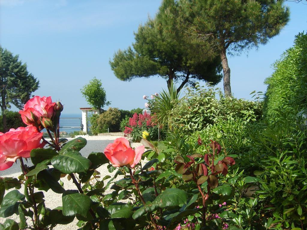 Bed And Breakfast " Il Tesoro Di Mario " Falconara Marittima Luaran gambar